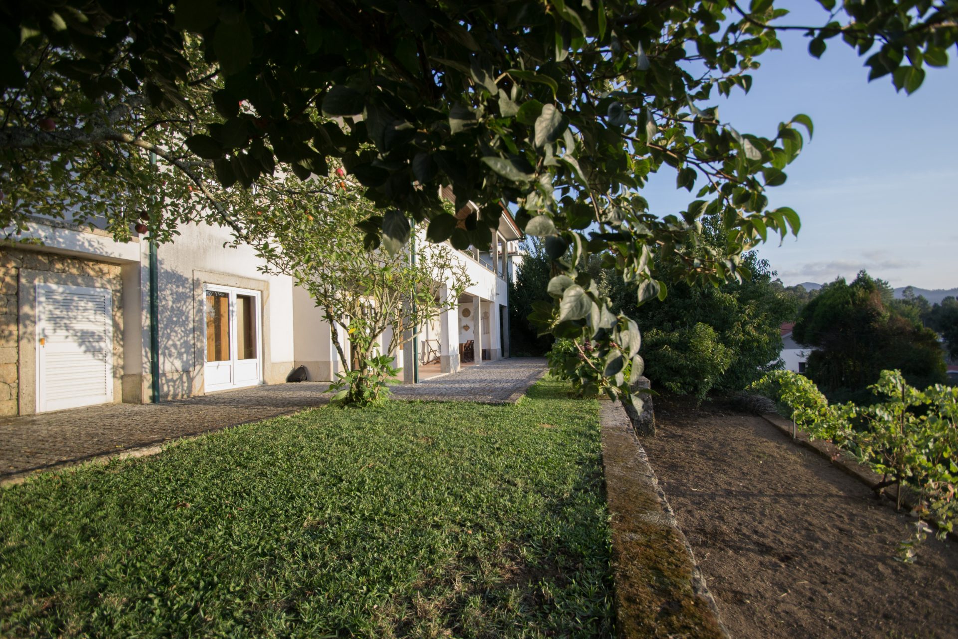 Exterior da casa com relvado e macieira