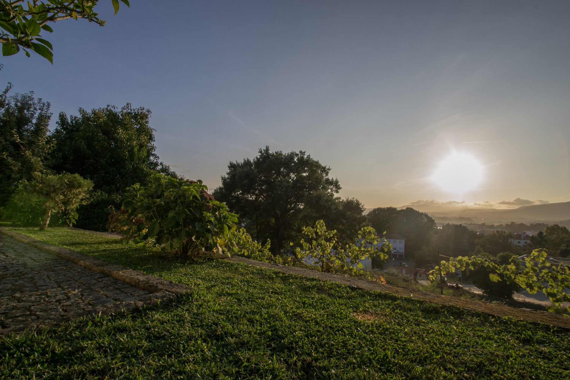 Pôr do sol sobre o relvado, a vinha e as serras