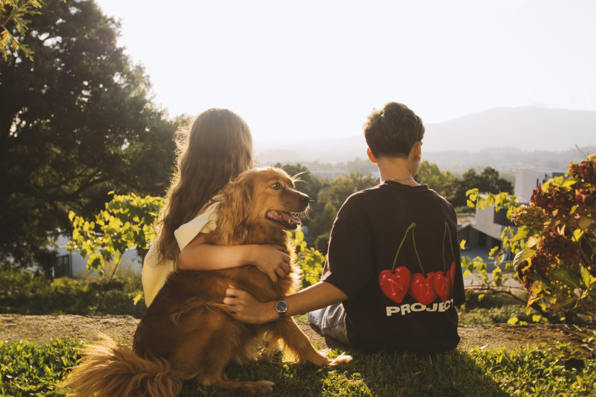 Hóspedes e cão no jardim ao fim da tarde
