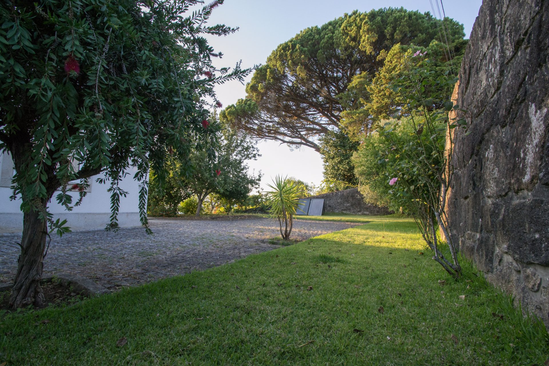 Jardim com pinheiro manso e muro de granito